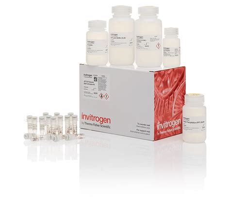 dna purification kit|jetflex genomic dna purification kit.